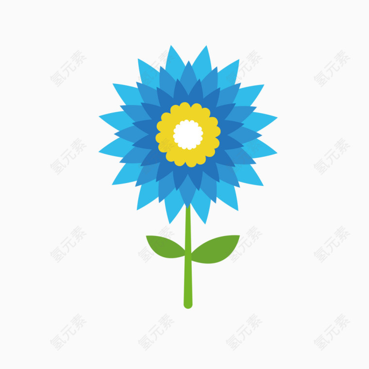 美丽野生蓝色菊花