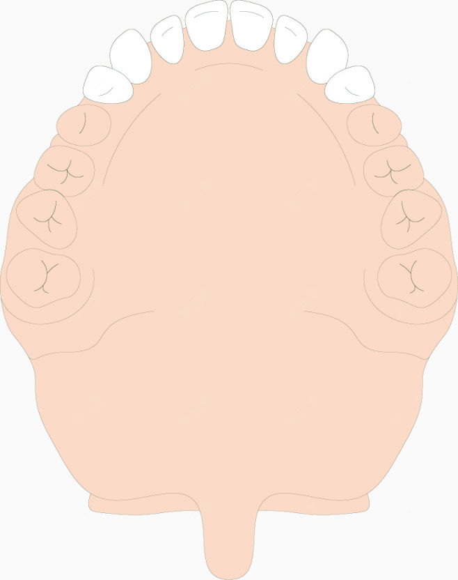 牙齿下载