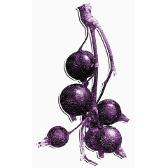 紫色果子