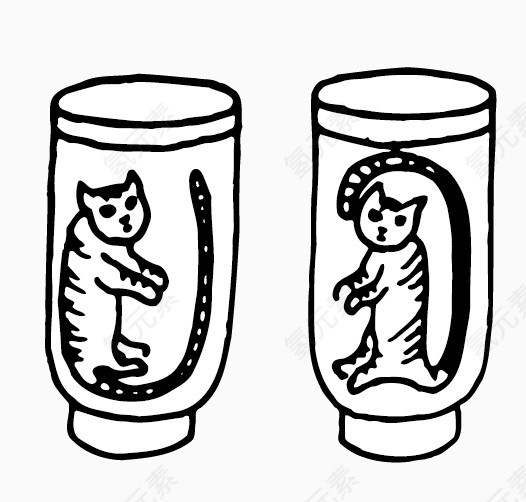 杯子里的猫咪