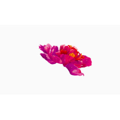 漂浮素材紫红色插花