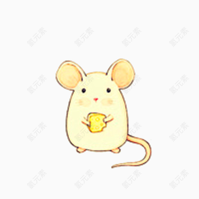 可爱的小白鼠