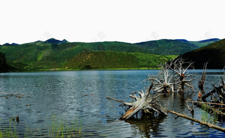 普达措森林公园风景图