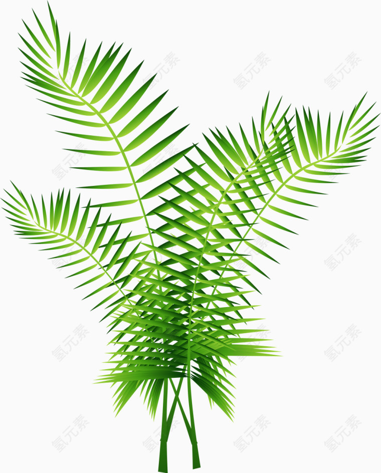 矢量绿色棕榈树装饰