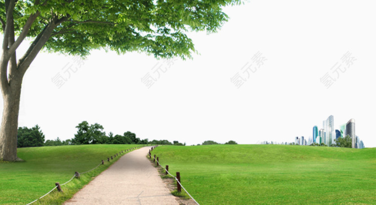 大树草地春天背景