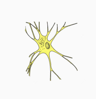 单细胞生物细胞图下载