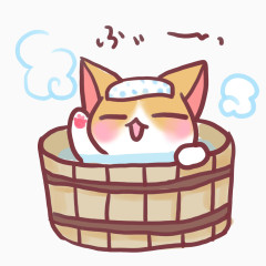 洗澡的猫