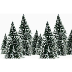 雪地里松树
