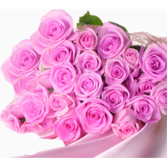 粉紫色玫瑰丝绸