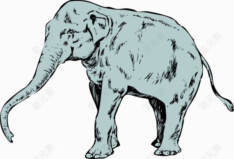 庞大的大象
