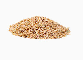 农产品小麦