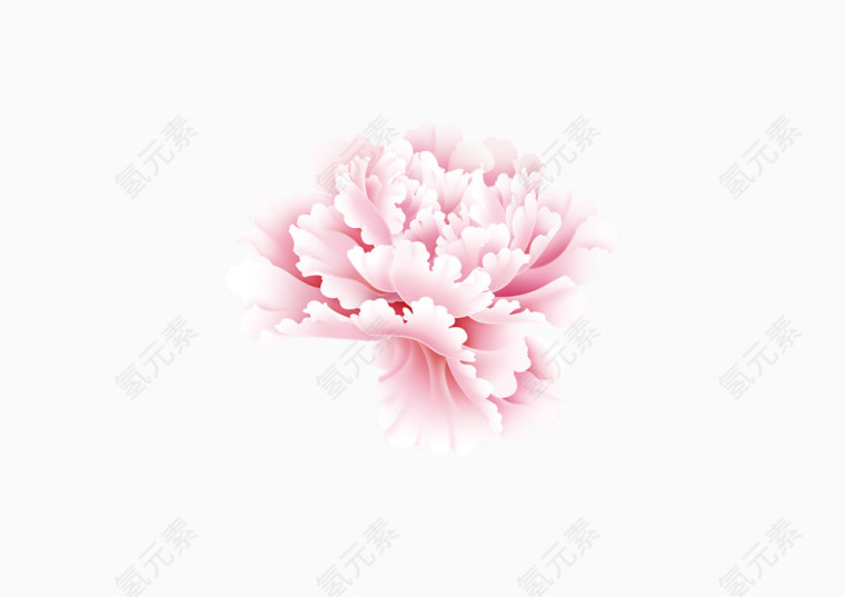 花朵  水粉  中国风  小清新  纹路 粉色