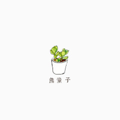 多肉植物