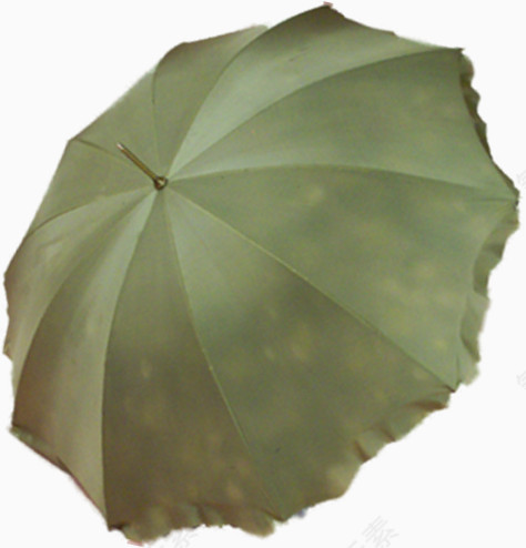绿叶的伞
