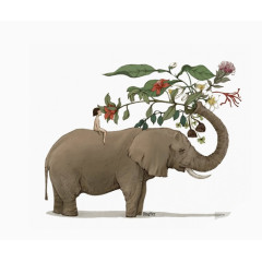 大象与花素材图片