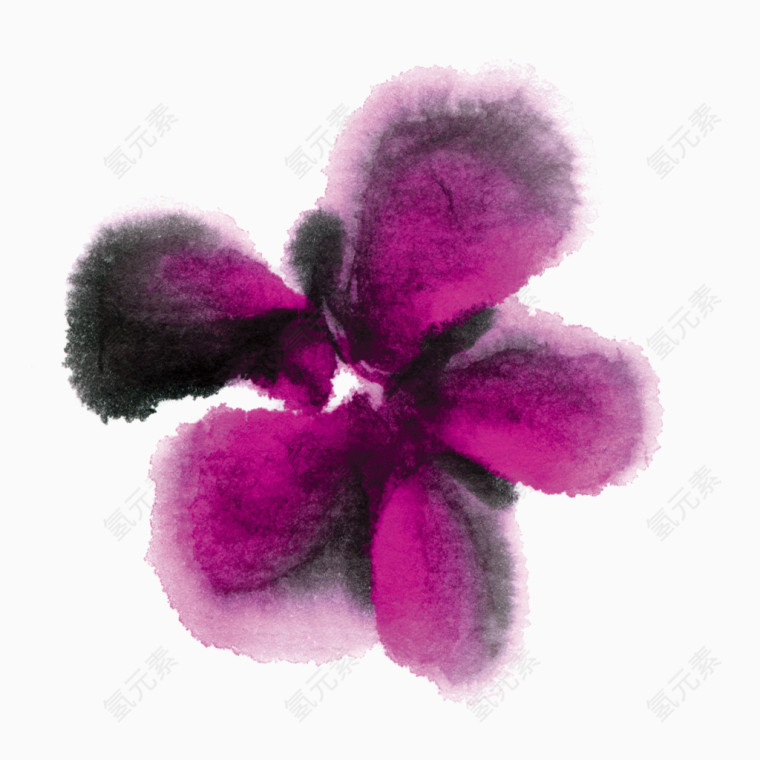 紫黑色花朵