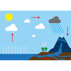 矢量水循环