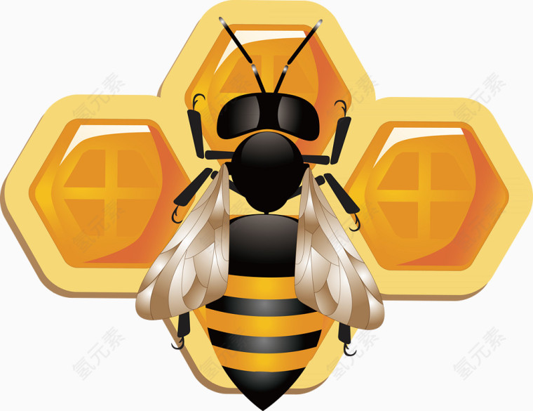 蜜蜂素材元素