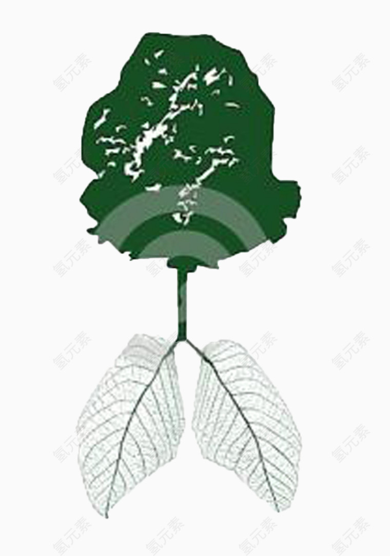 手绘肺部与绿树