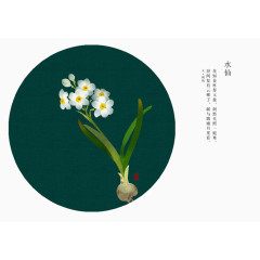 水仙花语