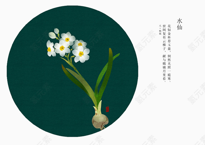 水仙花语