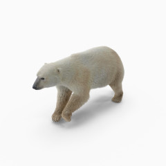 北极绒熊