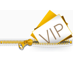 VIP  拉链 黄金