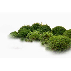 绿色灌木免抠素材免费下载