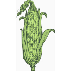 绿色玉米