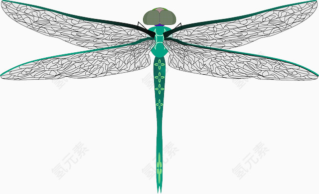 蜻蜓装饰图