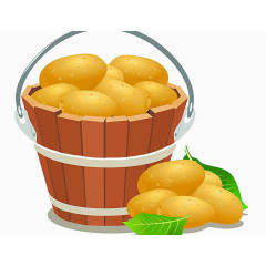 一桶土豆