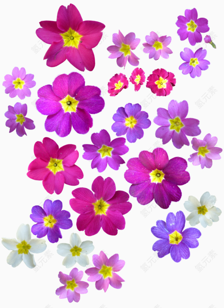 粉紫色花朵底纹元素