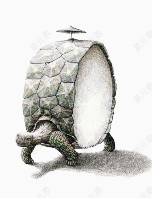 创意设计-鼓形状乌龟