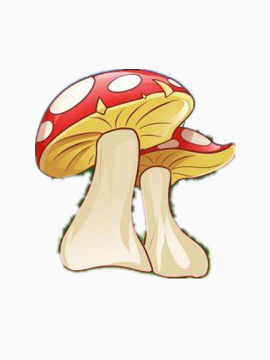 红色的大蘑菇图片