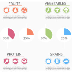 分类食物占比图