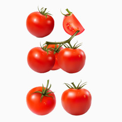 营养番茄