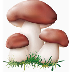 褐色简约蘑菇装饰图案