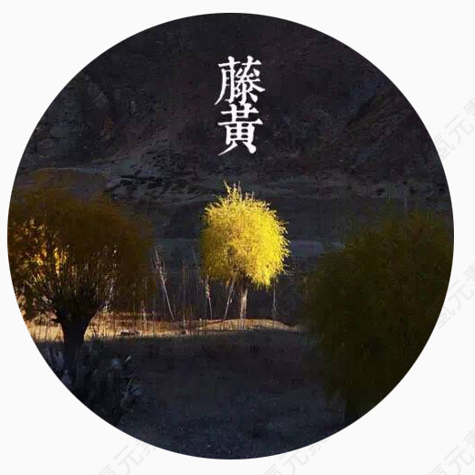 藤黄颜色师范素材图片