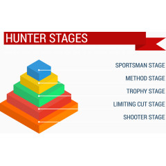 猎人阶段信息图表设计矢量元素