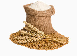 麻布袋装着面粉和地上有一堆麦子