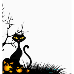 窝在草地上的黑猫