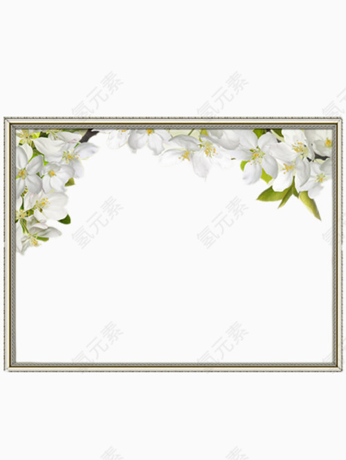 花卉边框