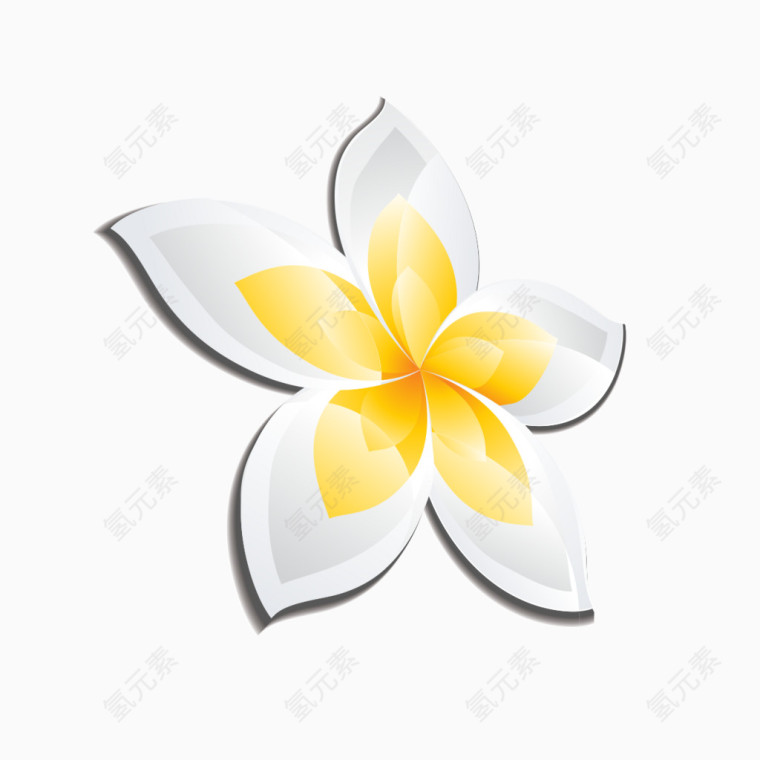 白色装饰花朵