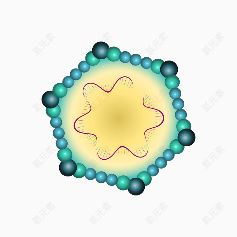 分子结构