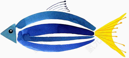 蓝色横条纹的鱼