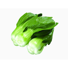 绿色蔬菜油菜
