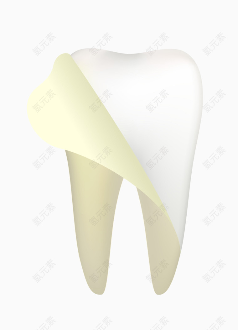 矢量白色黄色牙齿结构图元素图案