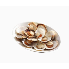 蚌壳类海鲜盘
