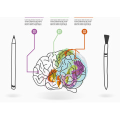 矢量手绘大脑
