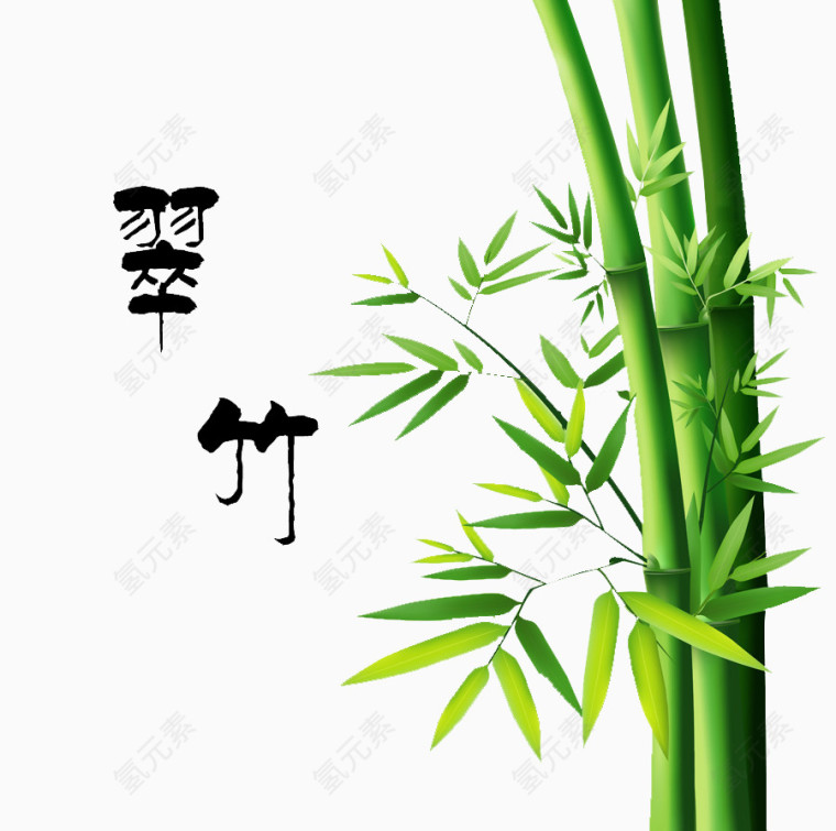 翠竹艺术图